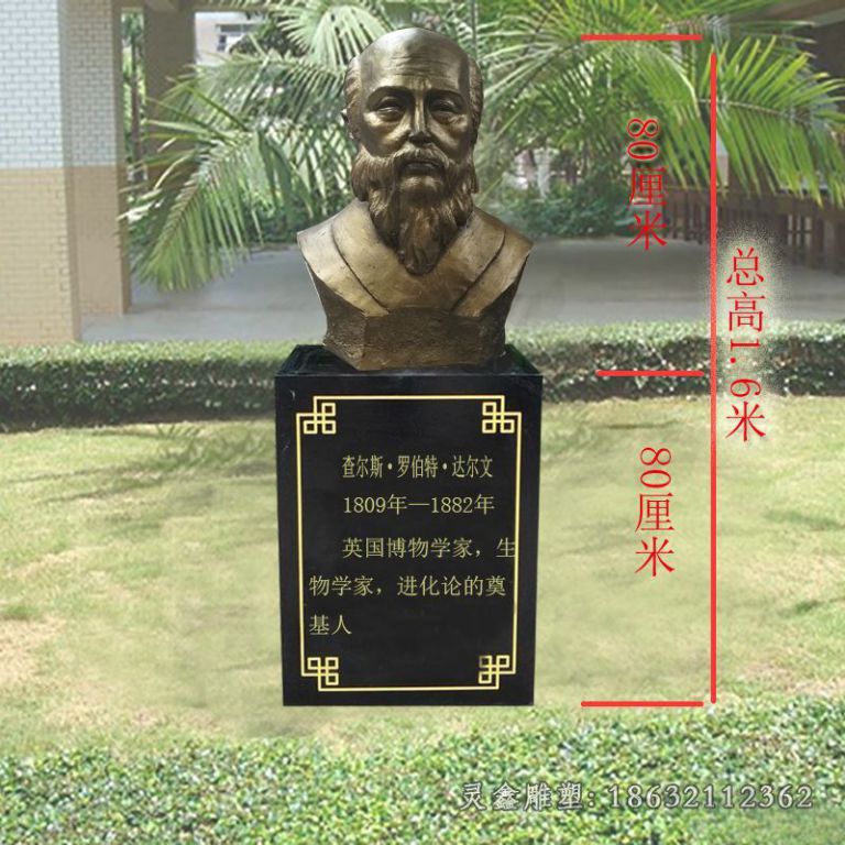 达尔文人物胸像铜雕