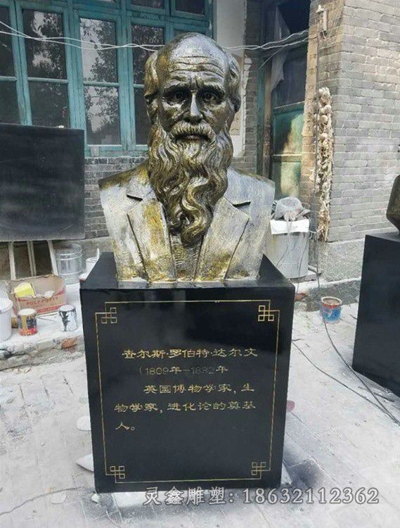 达尔文校园胸像铜雕